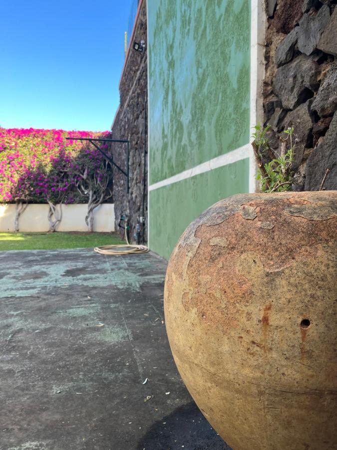 Dream Garden Santa Cruz de Tenerife
