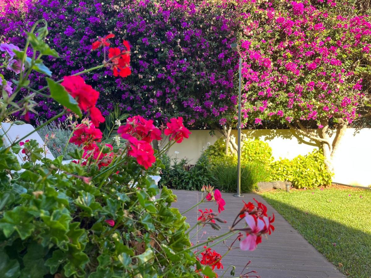 Dream Garden Apartment