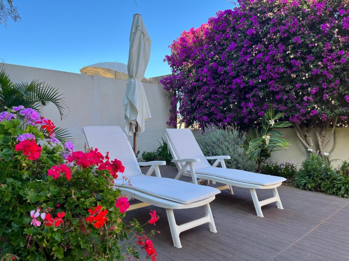 Dream Garden Apartment