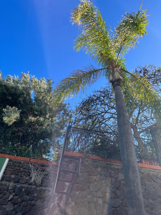 Apartment Dream Garden Santa Cruz de Tenerife