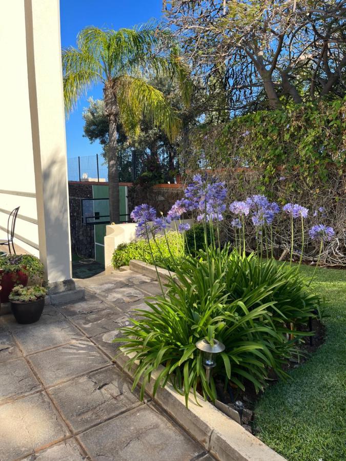 Apartment Dream Garden