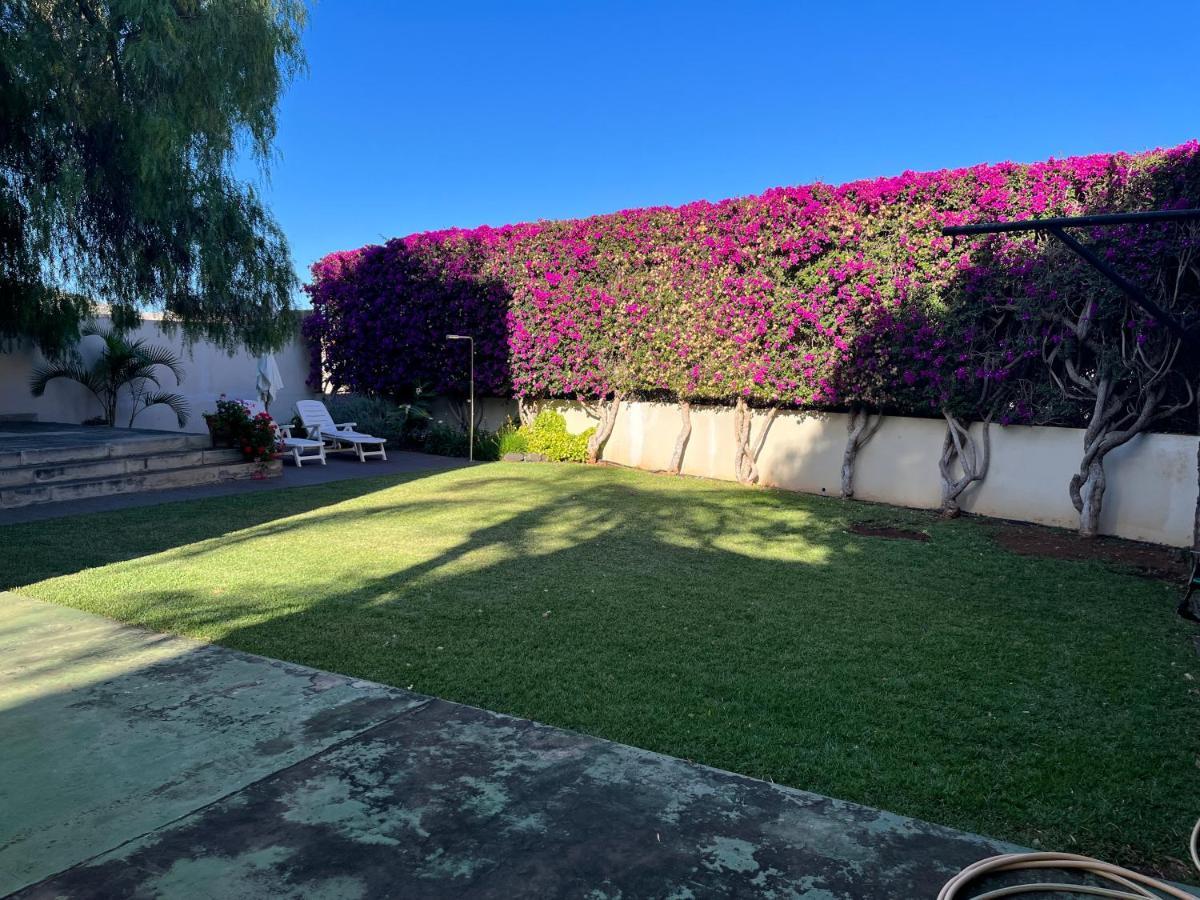Apartment Dream Garden Santa Cruz de Tenerife