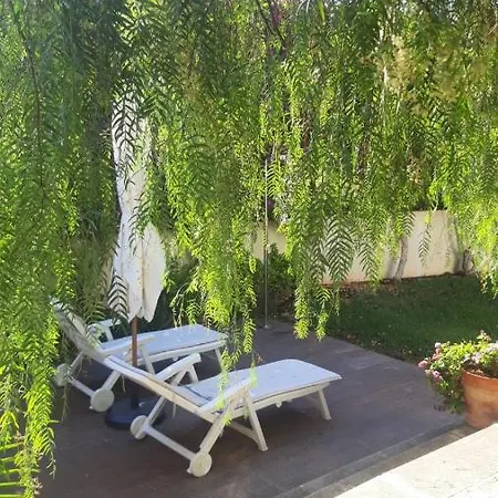 Ferienwohnung Dream Garden Santa Cruz de Tenerife Exterior foto