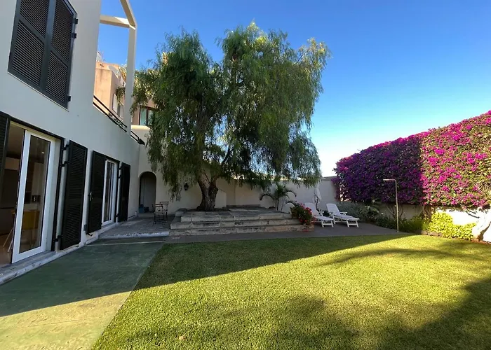 Dream Garden