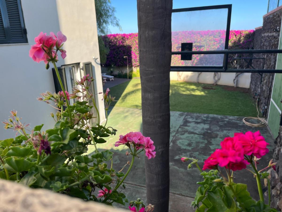 Dream Garden Apartment *